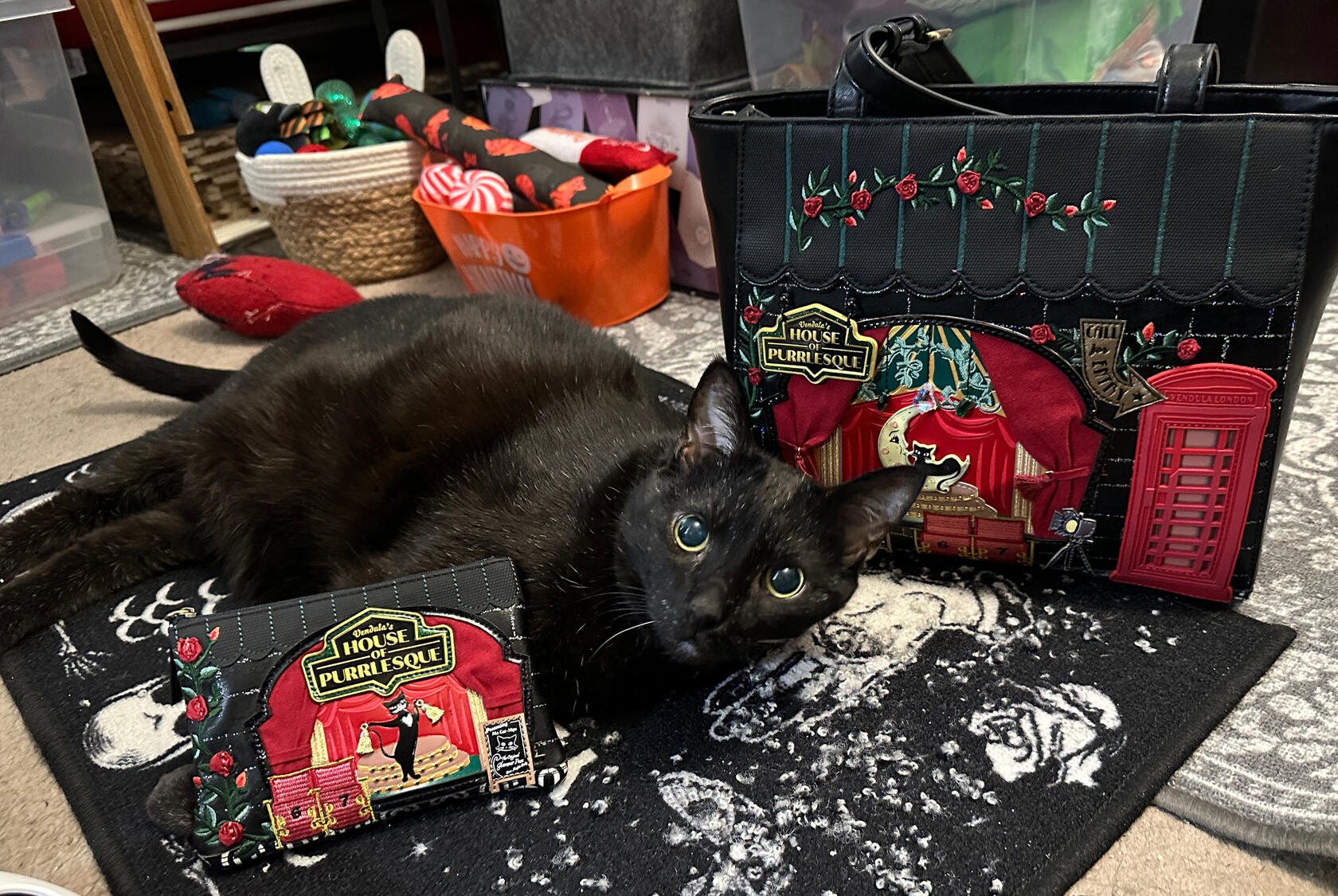 Photo of Manny Halloween Cat posing with a purse and wallet from the Vendula London Purrlesque Club collection